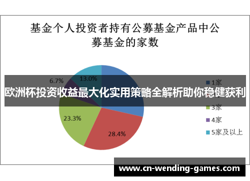 欧洲杯投资收益最大化实用策略全解析助你稳健获利