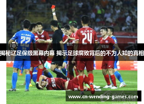 揭秘辽足保级黑幕内幕 揭示足球腐败背后的不为人知的真相