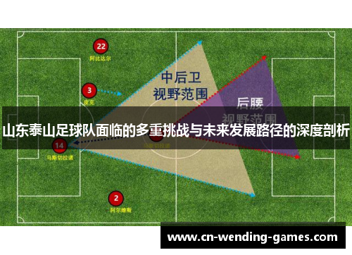 山东泰山足球队面临的多重挑战与未来发展路径的深度剖析