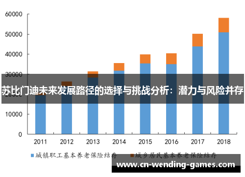 苏比门迪未来发展路径的选择与挑战分析：潜力与风险并存