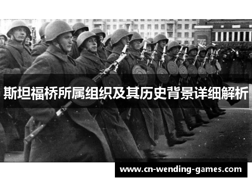 斯坦福桥所属组织及其历史背景详细解析