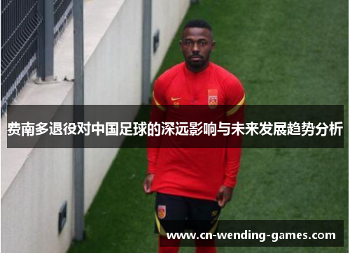 费南多退役对中国足球的深远影响与未来发展趋势分析