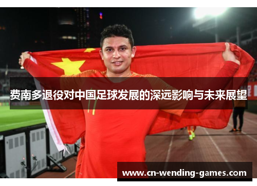 费南多退役对中国足球发展的深远影响与未来展望
